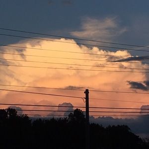 Meet your Posher, Gabby